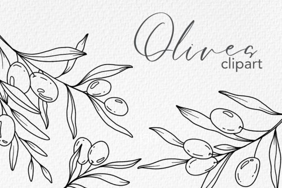 Download Olive Branches LINE ART. OLIVES CLIPART - Branch Collection
