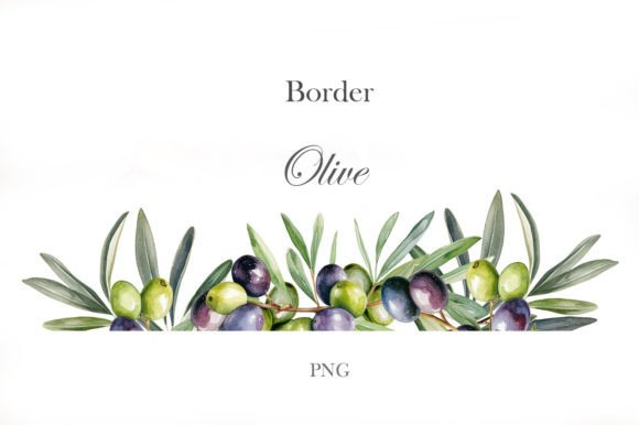 Download Olive Branches Border - Branch Collection